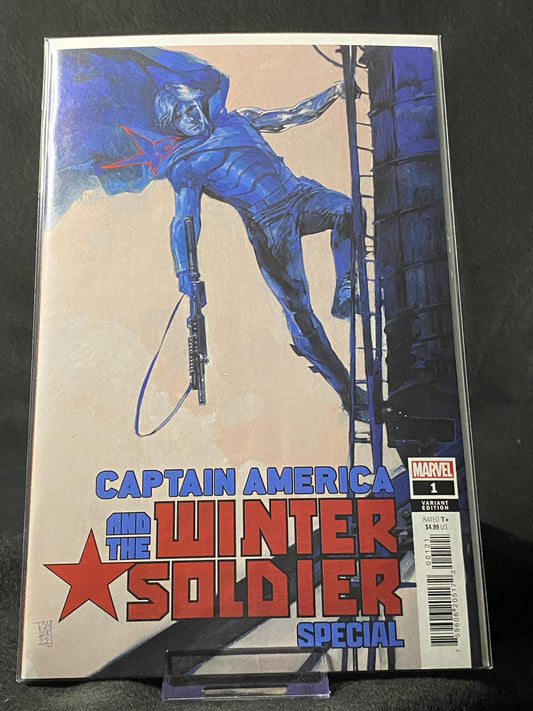Captain America and the Winter Soldier - Special-1B-Alex Maleev Cover