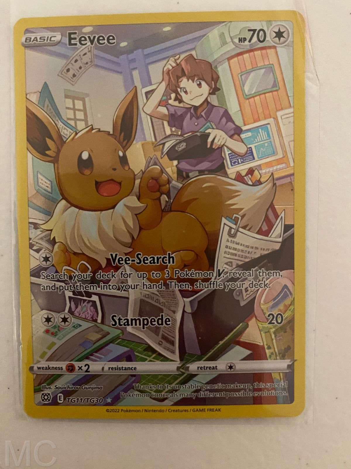 Eevee TG11/TG30 Holo Brilliant Stars Trainer Gallery Pokemon NM