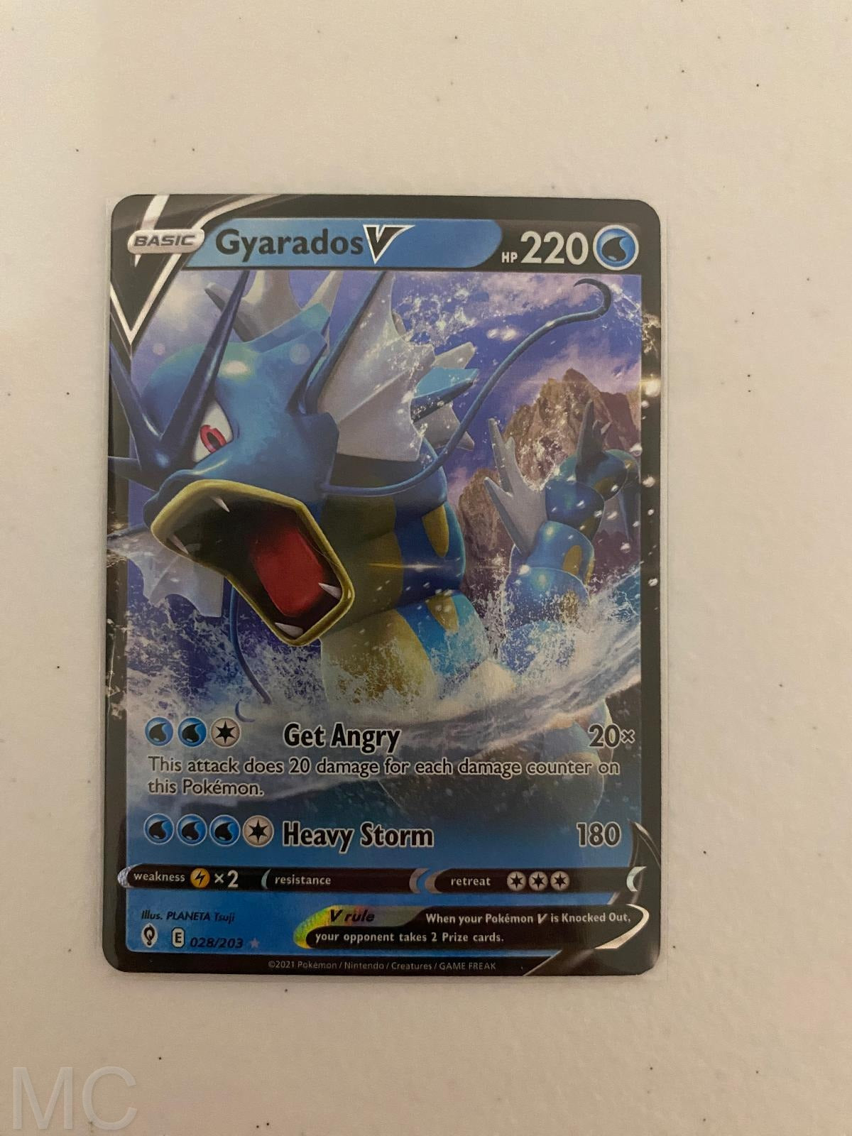 Gyarados V 028/203 Holo V Rare Evolving Skies Pokemon Near Mint