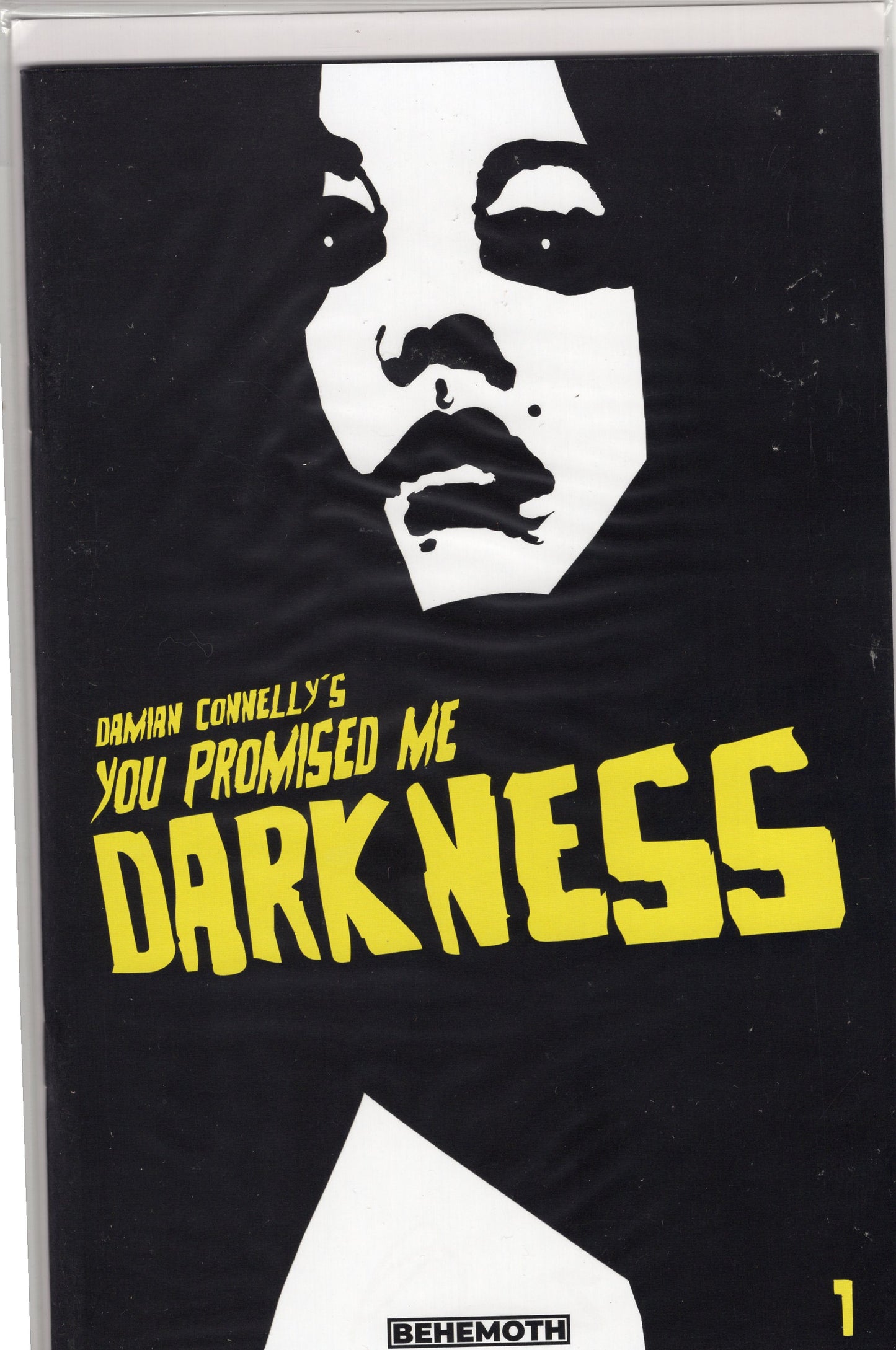 You Promised Me Darkness-2nd printing