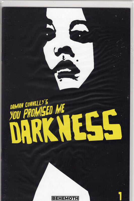 You Promised Me Darkness-2nd printing